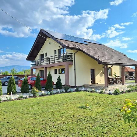 Pensiunea Daria Haţeg Extérieur photo