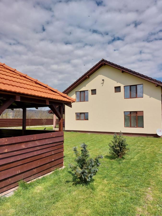 Pensiunea Daria Haţeg Extérieur photo