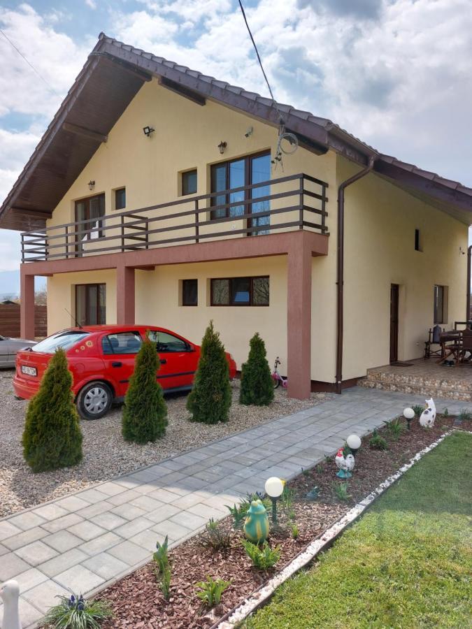 Pensiunea Daria Haţeg Extérieur photo